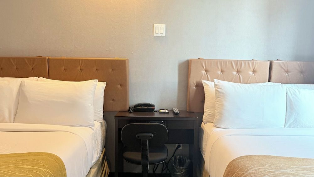 undefined Madison LES Hotel 4