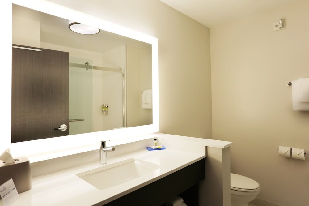 Standard Room, 1 King Bed with Sofa bed, Accessible (Communications)