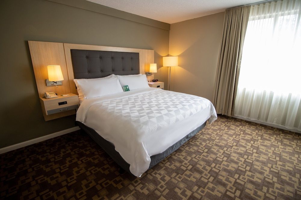 Standard Room, 1 King Bed, Accessible, Non Smoking (Transfer Shower)