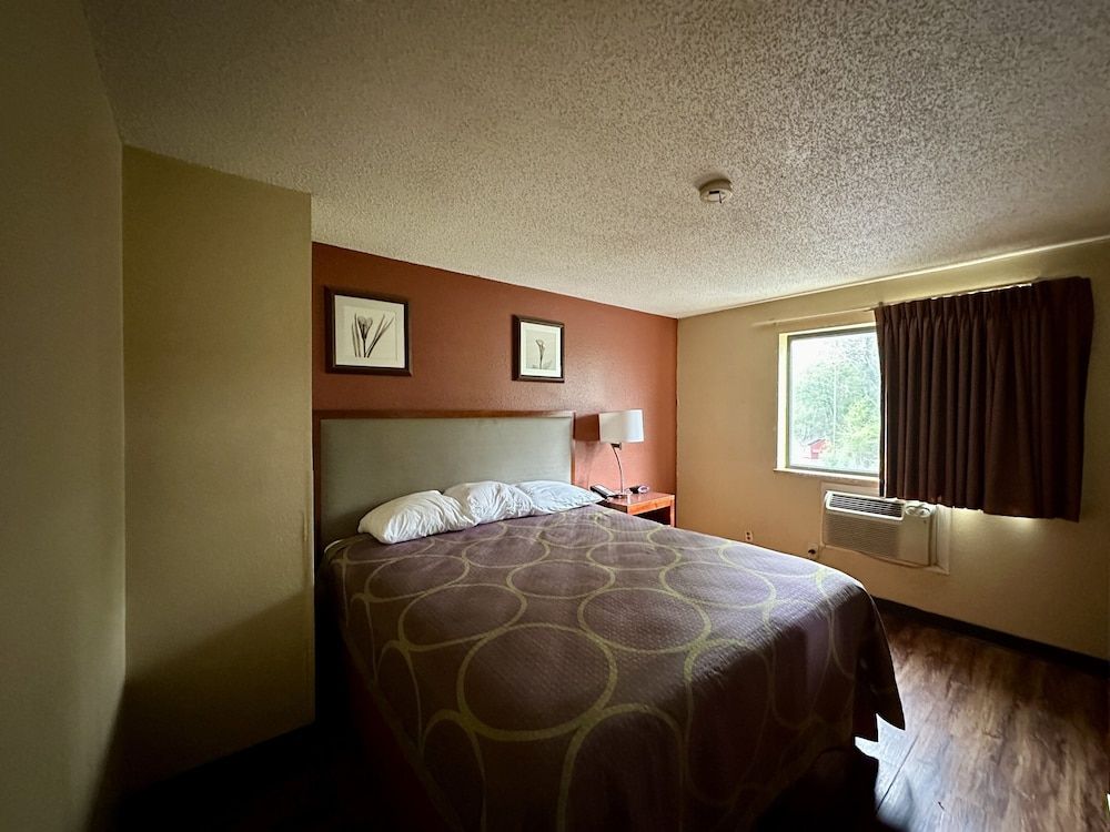 Room, 1 King Bed, Smoking