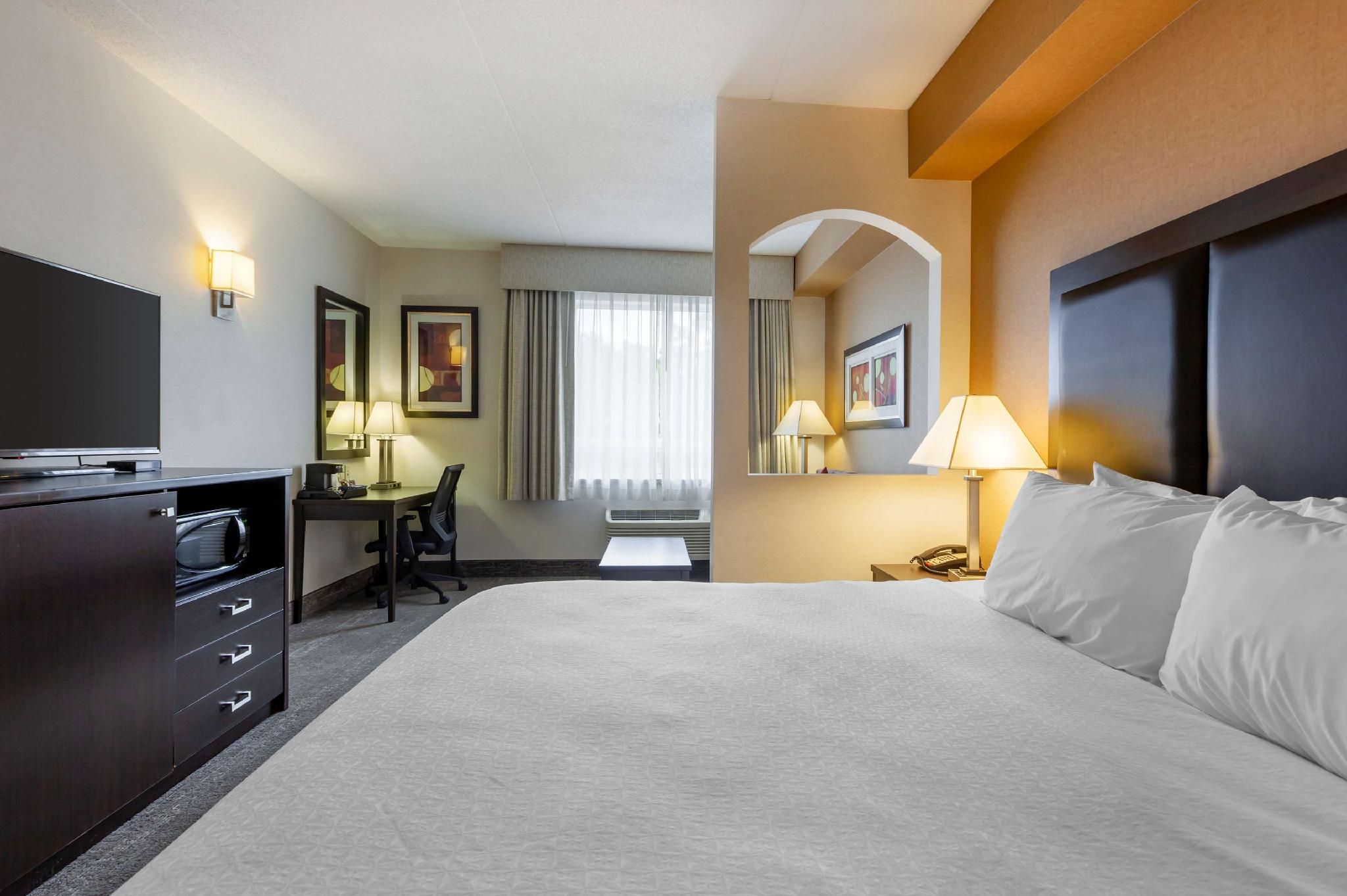 Suite-1 King Bed, Non-Smoking, Executive Room, Sofabed, Work Desk, Microwave And Refrigerator, Wi-Fi