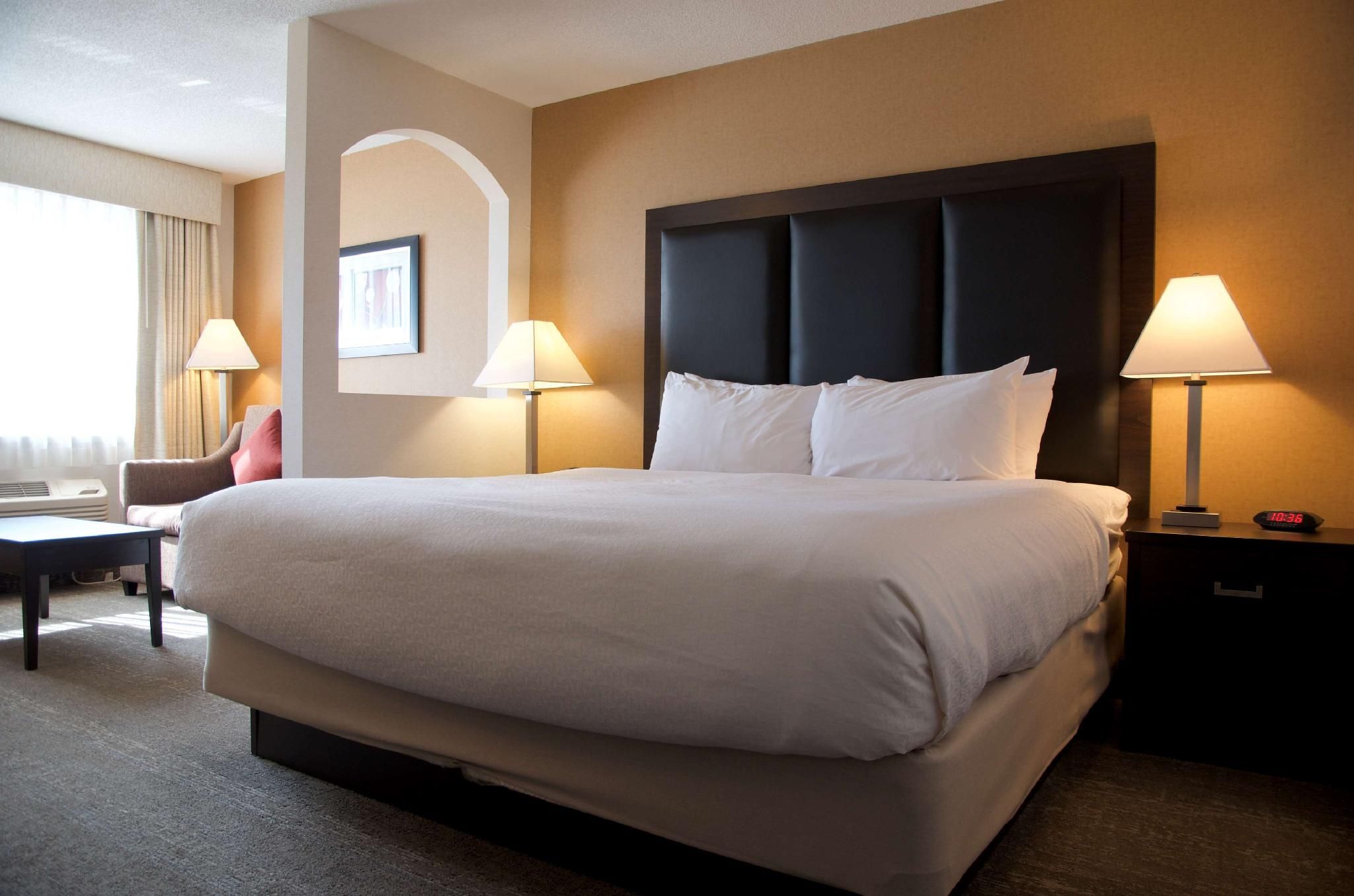 Suite-1 King Bed, Non-Smoking, Executive Room, Sofabed, Work Desk, Microwave And Refrigerator, Wi-Fi
