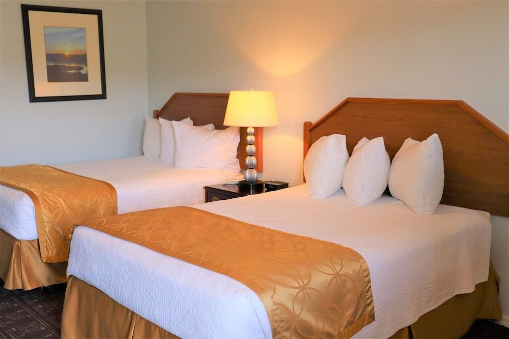 Standard Room, 2 Double Beds