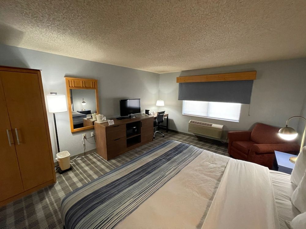 Room, 1 King Bed, Non Smoking