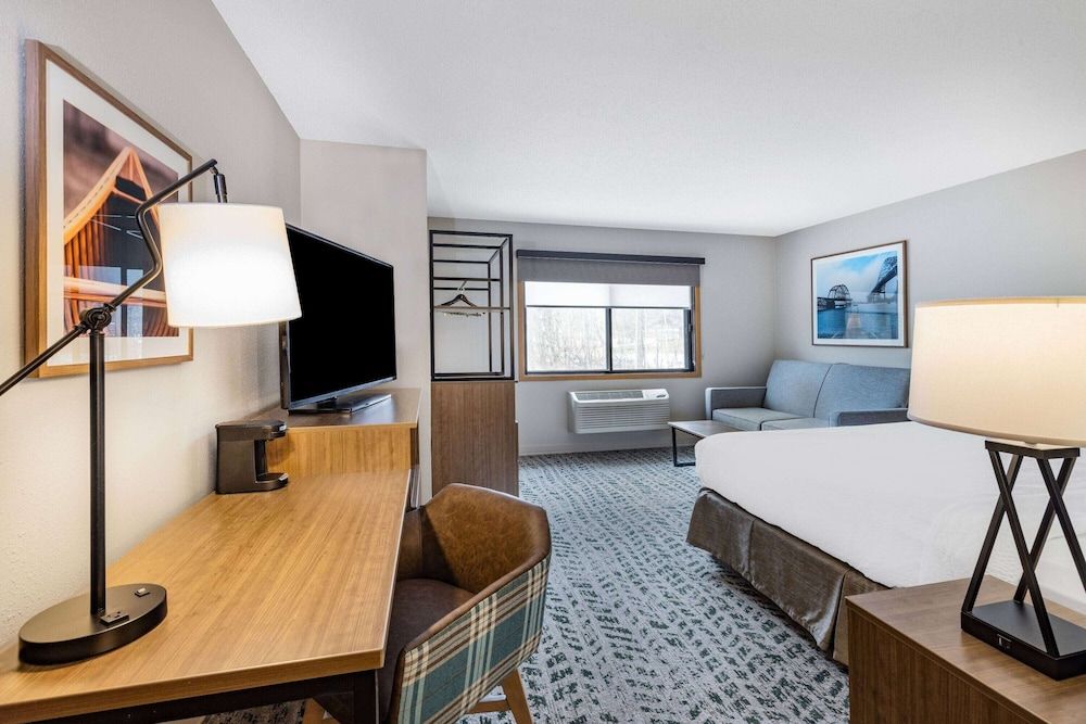 Room, 1 King Bed, Non Smoking