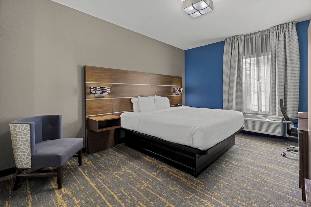 Basic Studio Suite, 1 King Bed, Kitchenette