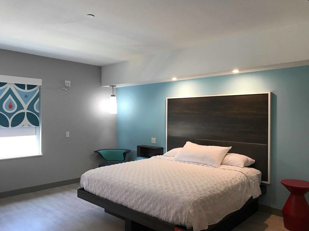 Room, 1 King Bed, Accessible (Roll-In Shower)
