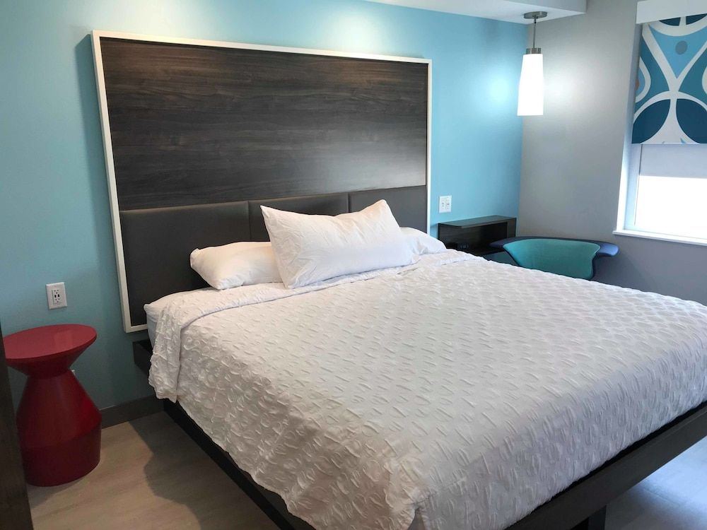 Room, 1 King Bed