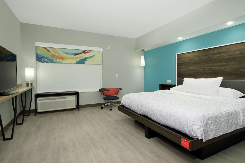 Room, 1 King Bed, Accessible (Roll-in Shower)