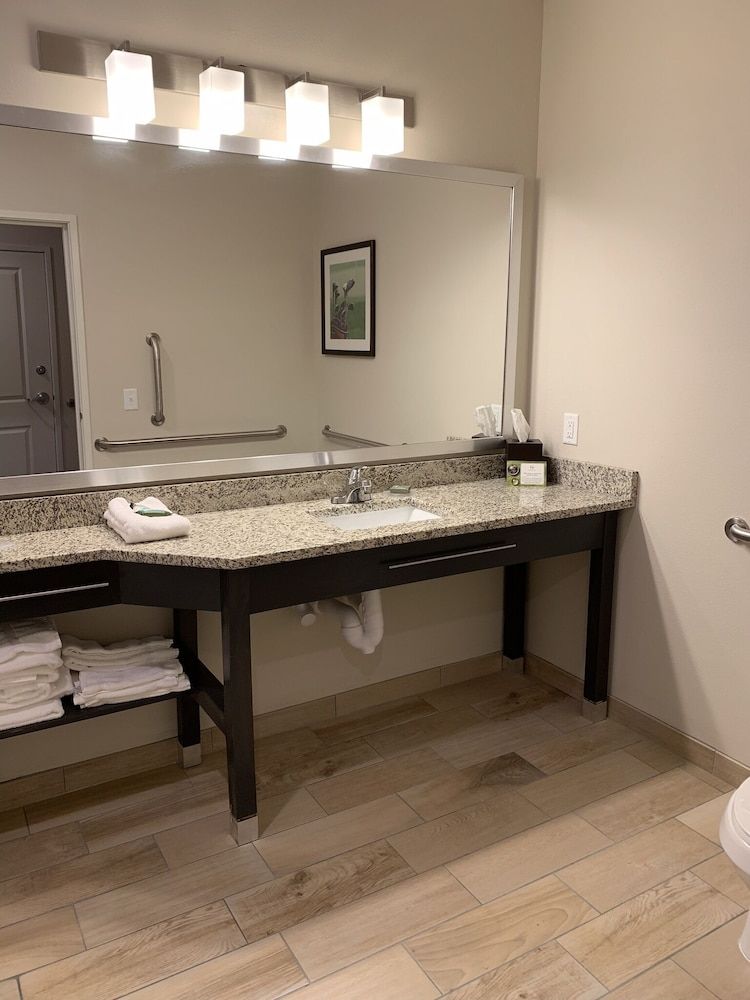 Room, 1 King Bed, Accessible, Non Smoking (Mobility, Roll-in Shower)