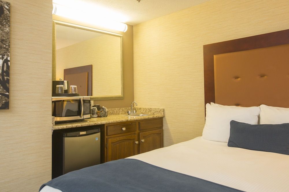 Ivy Court Inn & Suites Double Standard 3