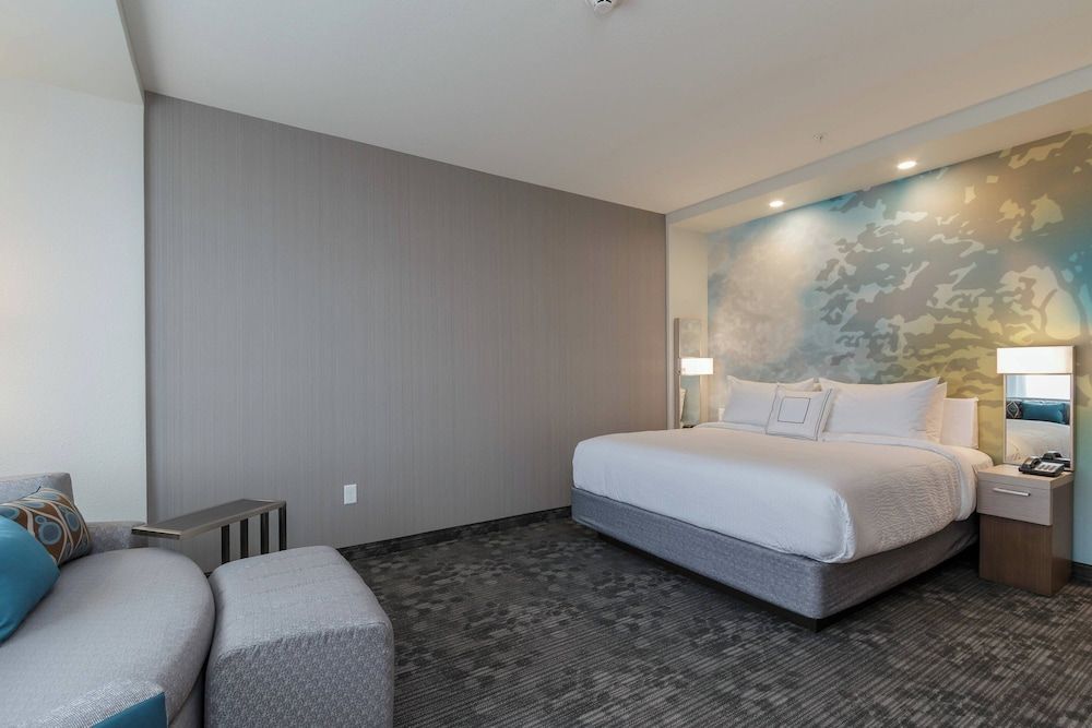 Room, 1 King Bed (Mobility Accessible, Roll-In Shower)