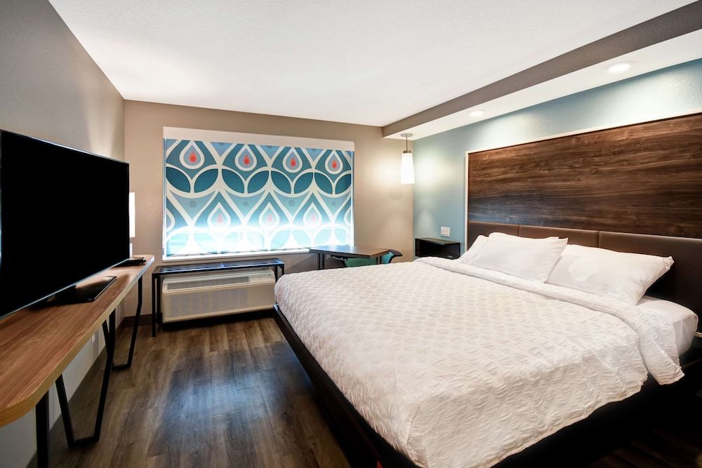 Room, 1 King Bed