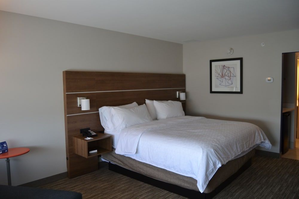 Suite, 1 King Bed with Sofa bed
