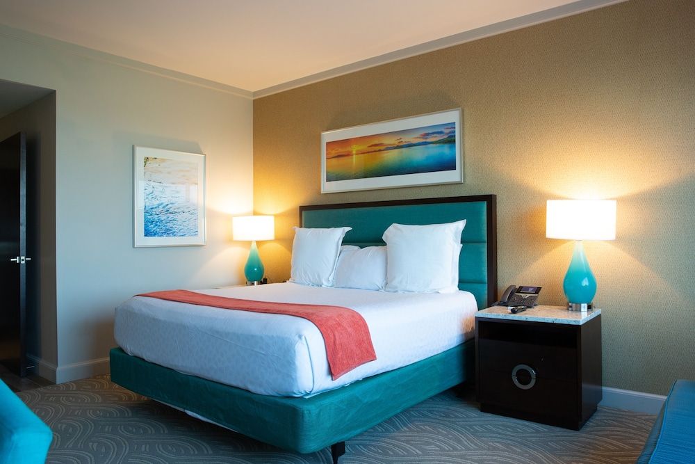 Standard Room, 1 King Bed, Accessible