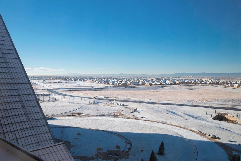 Gaylord Rockies Resort & Convention Center Room, 1 King Bed with Sofa bed, Non Smoking (Hearing Accessible) 8