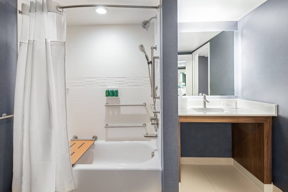 Studio, 1 King Bed with Sofa bed (Mobility Accessible, Tub)
