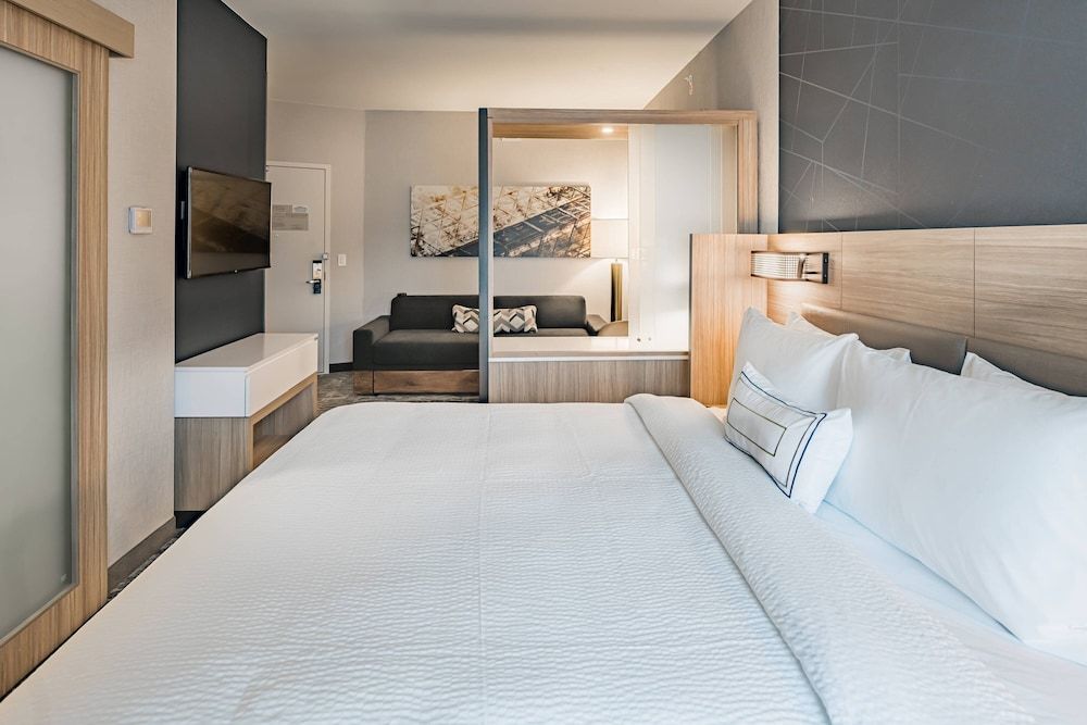 Suite, 1 King Bed with Sofa bed