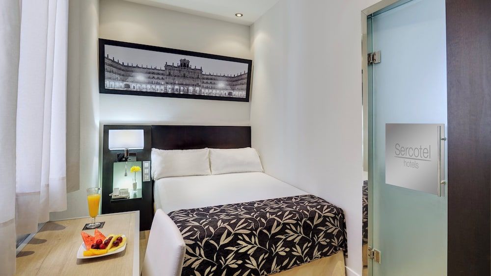 Hotel Sercotel Las Torres Salamanca Basic Double Room 2