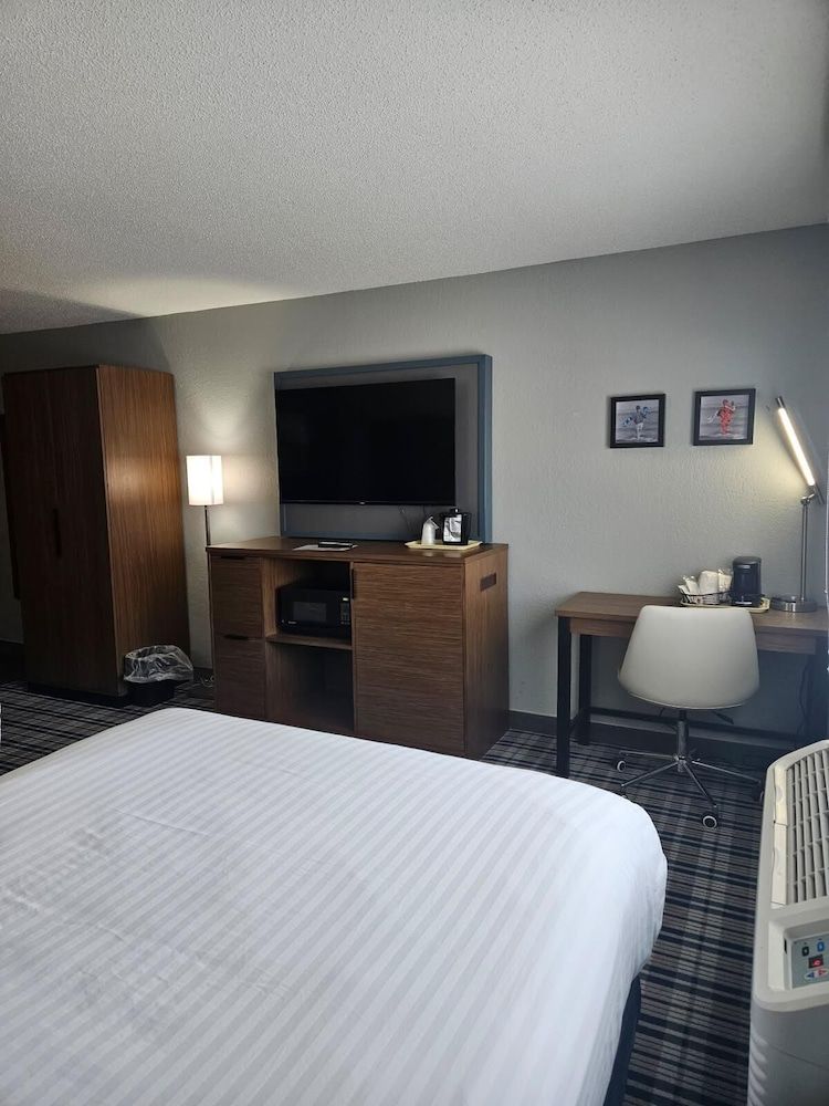 Superior Room, 1 King Bed, Non Smoking