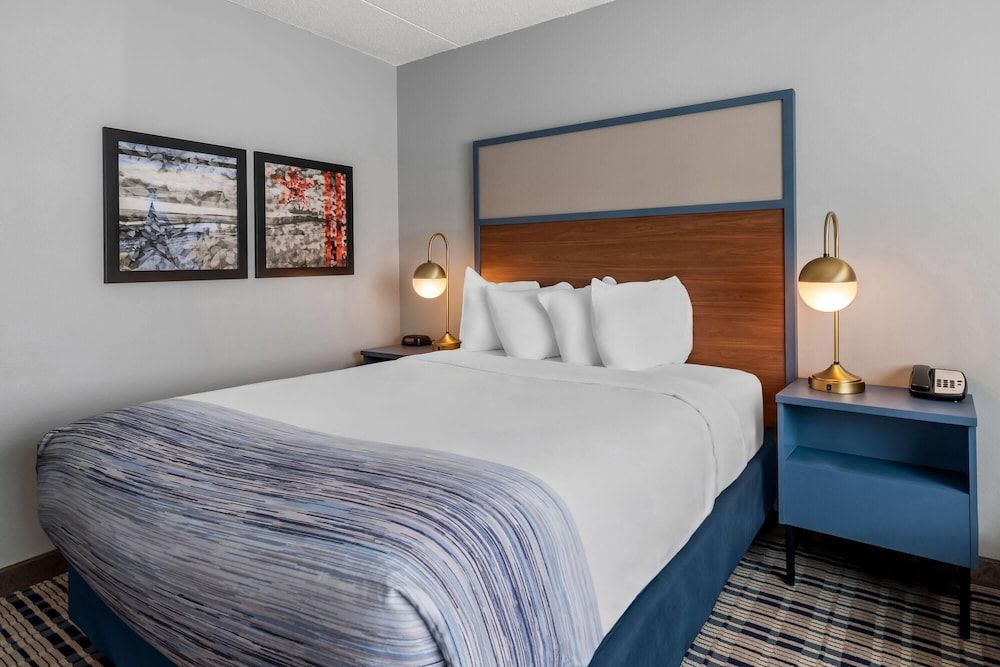 Room, 1 Queen Bed, Non Smoking
