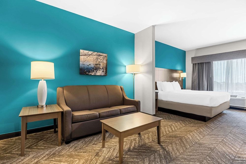 Suite, 1 King Bed, Non Smoking, Refrigerator & Microwave (with Sofabed)