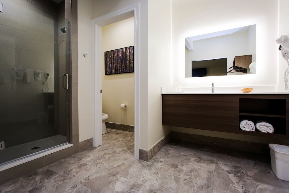 Palace Inn Blue US 59 & Gessner Deluxe Room, 1 King Bed, Refrigerator & Microwave 6