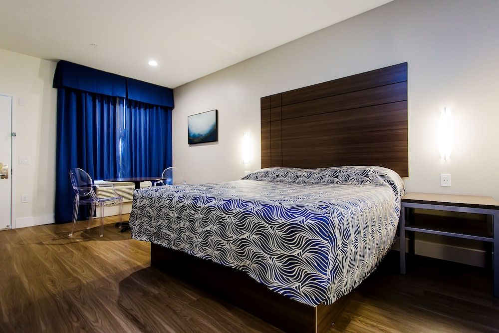 Palace Inn Blue US 59 & Gessner Deluxe Room, 1 King Bed, Refrigerator & Microwave 2