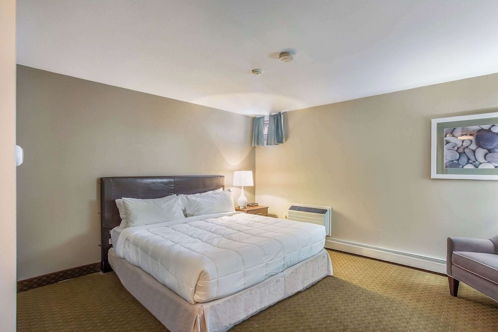 Standard Room, 1 King Bed, Non Smoking