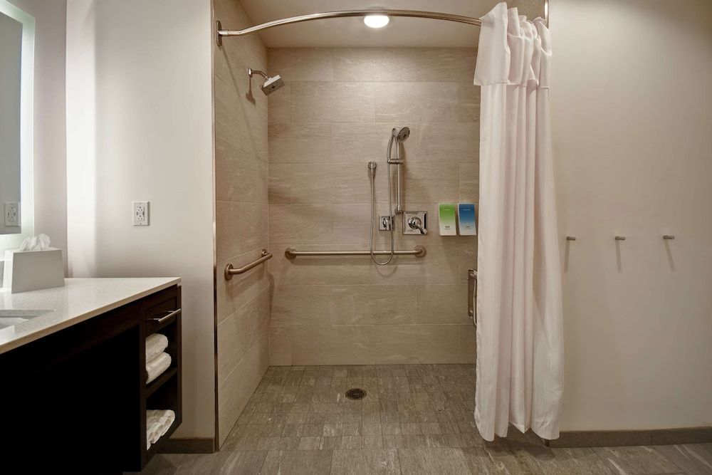 Studio, 1 King Bed, Accessible (Mobility & Hearing, Roll-in Shower)