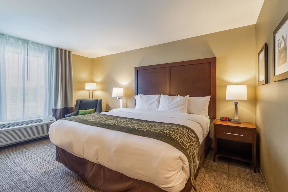Suite, 1 King Bed, Non Smoking