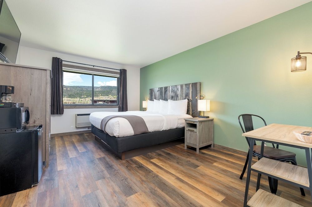 Premium Room, 1 King Bed, Non Smoking - Pet Friendly