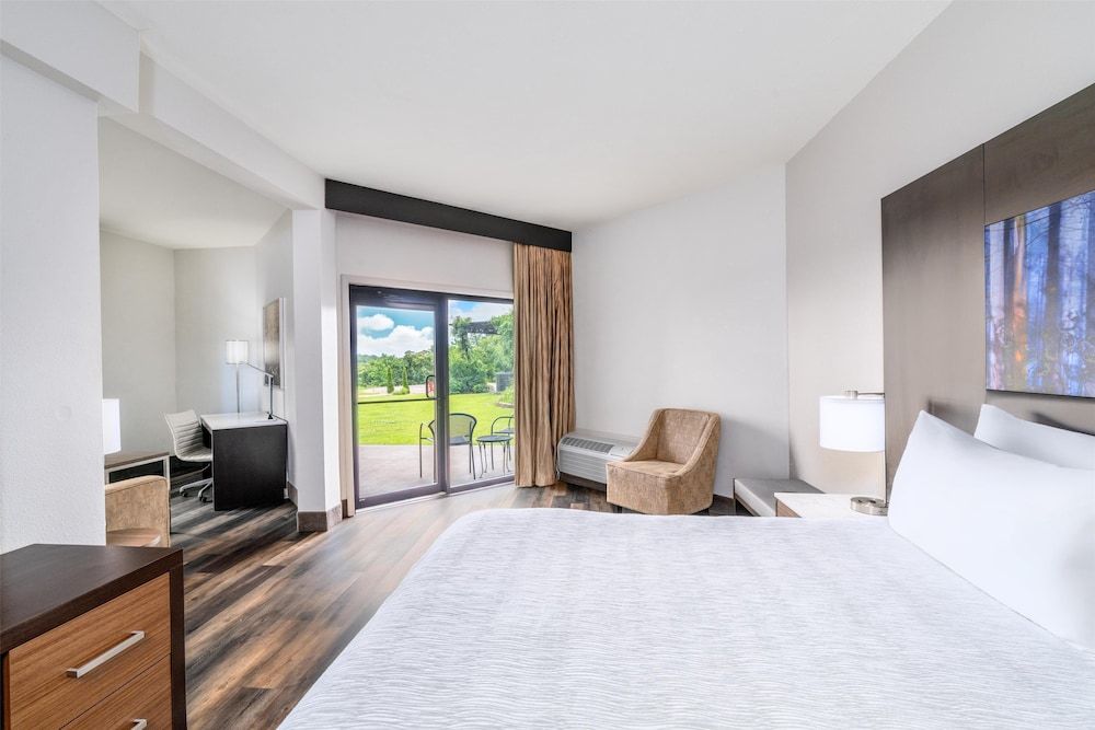 Suite, 1 King Bed, Non Smoking, Refrigerator & Microwave (with Sofabed)