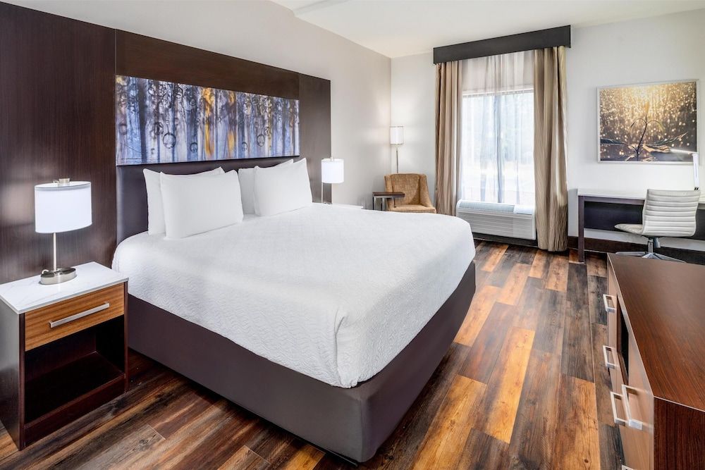 Aiden by Best Western Warm Springs Hotel and Event Center Standard Room, 1 King Bed, Accessible, Non Smoking (with Sofabed)