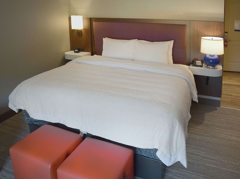 Studio Suite, 1 King Bed with Sofa bed, Accessible (Mobility & Hearing, Roll-in Shower)