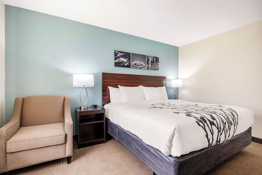 Standard Room, 1 King Bed, Non Smoking