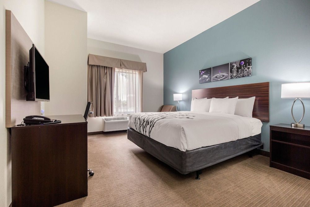Room, 1 King Bed, Accessible, Non Smoking (Roll-In Shower)