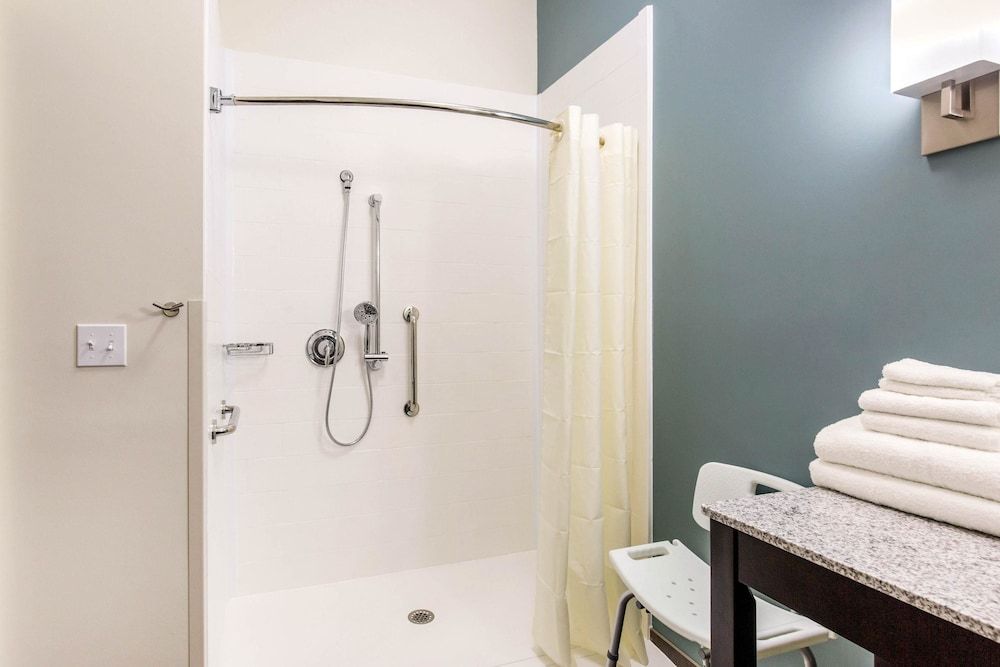 Room, 1 King Bed, Accessible, Non Smoking (Roll-In Shower)
