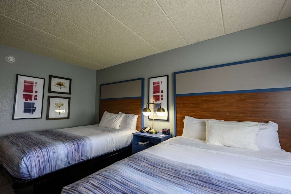 Room, 2 Queen Beds, Non Smoking (Pet-Friendly)