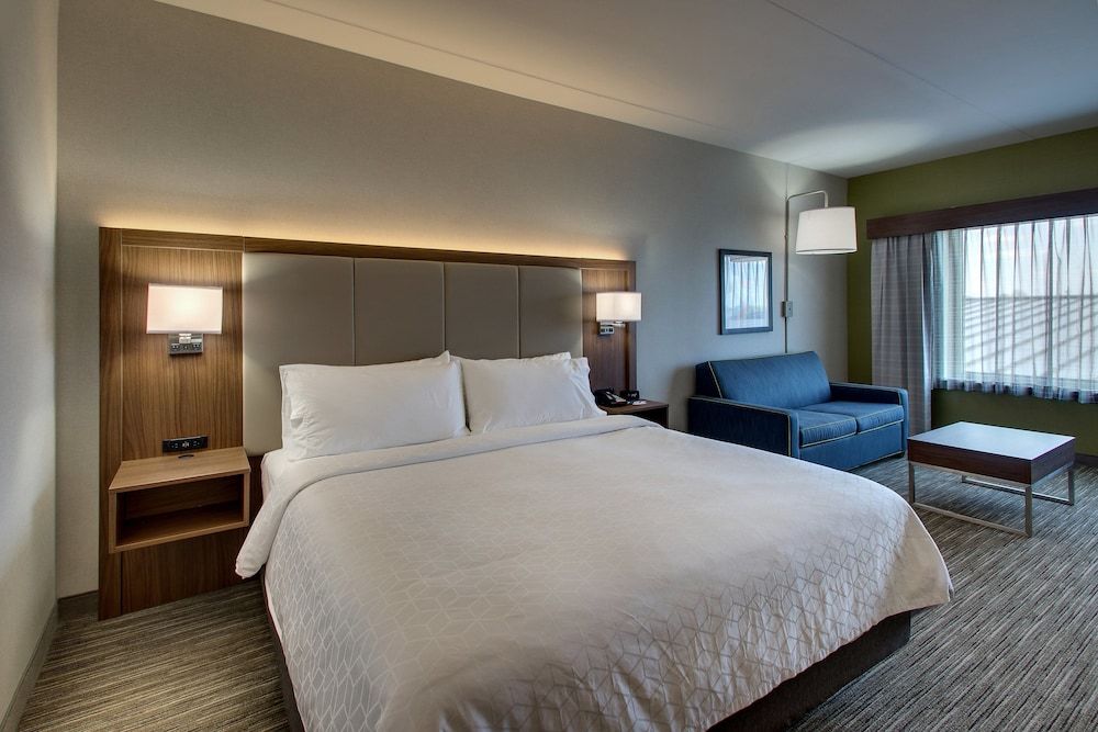 Suite, 1 King Bed with Sofa bed