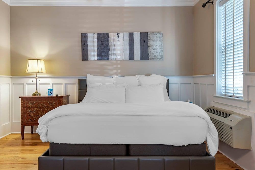 Suite, 1 King Bed with Sofa bed, Non Smoking (Efficiency)