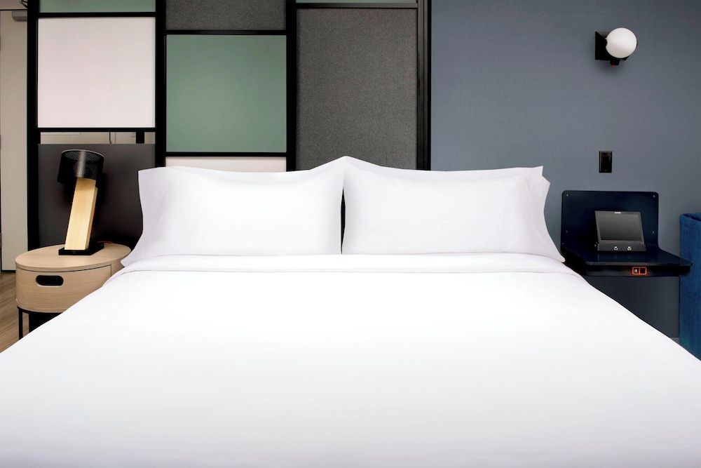 Room, 1 King Bed (Mobility Accessible, Roll-in Shower)