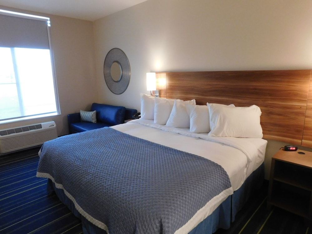 Room, 1 King Bed, Non Smoking