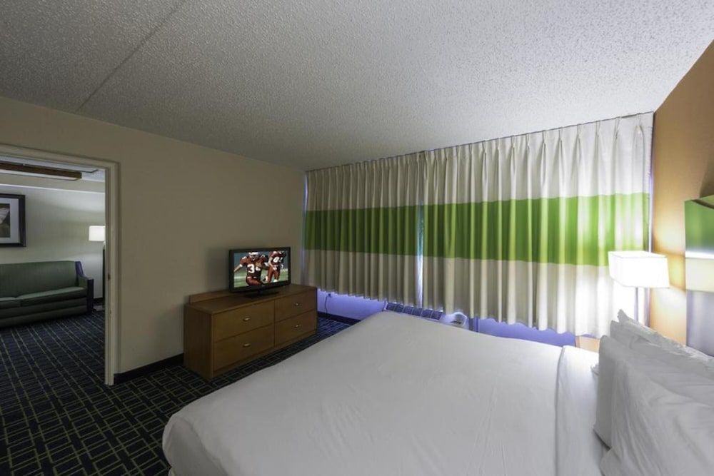 Suite, 1 King Bed, Non Smoking (One-Bedroom)
