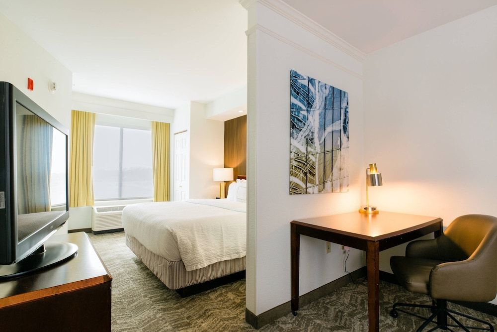 Suite, 1 King Bed with Sofa bed, Non Smoking (Mobility/Hearing Accessible, Tub)