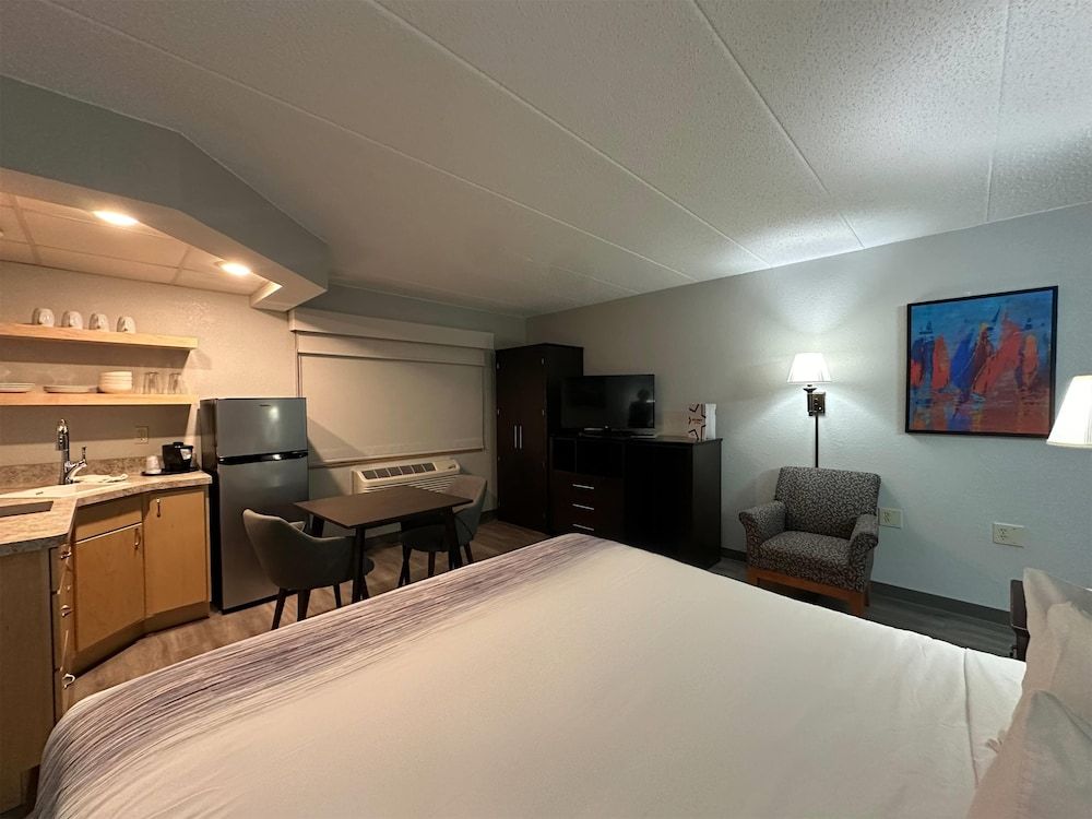 Room, 1 King Bed, Non Smoking (Efficiency)