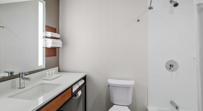 undefined Hilton Garden Inn Chicago McCormick Place 6