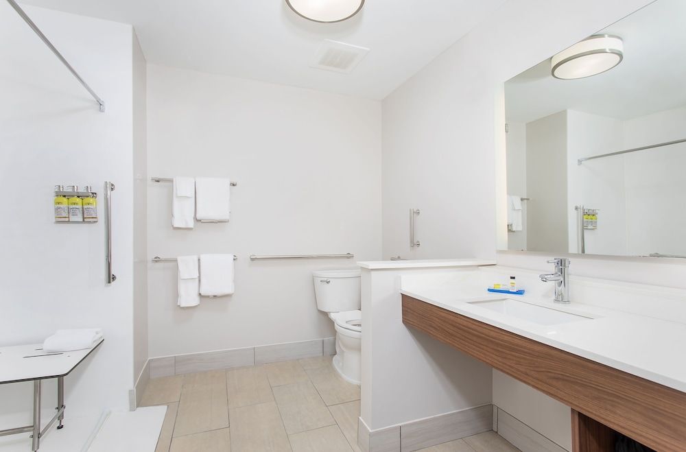 Standard Room, 1 King Bed, Accessible (Mobility, Roll-In Shower)