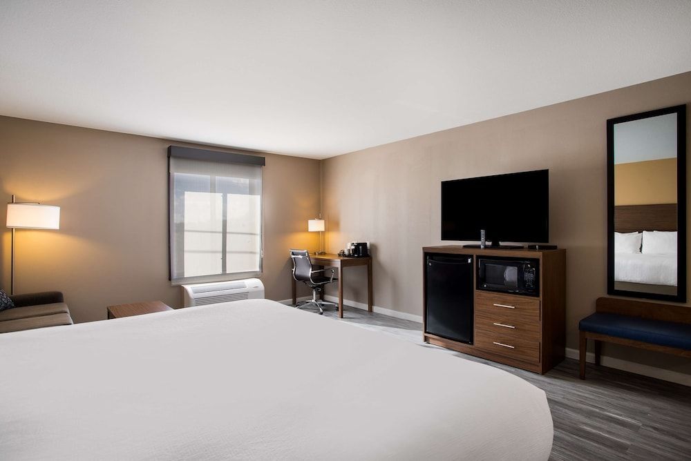 Standard Room, 1 King Bed, Non Smoking, Refrigerator & Microwave (with Sofabed)