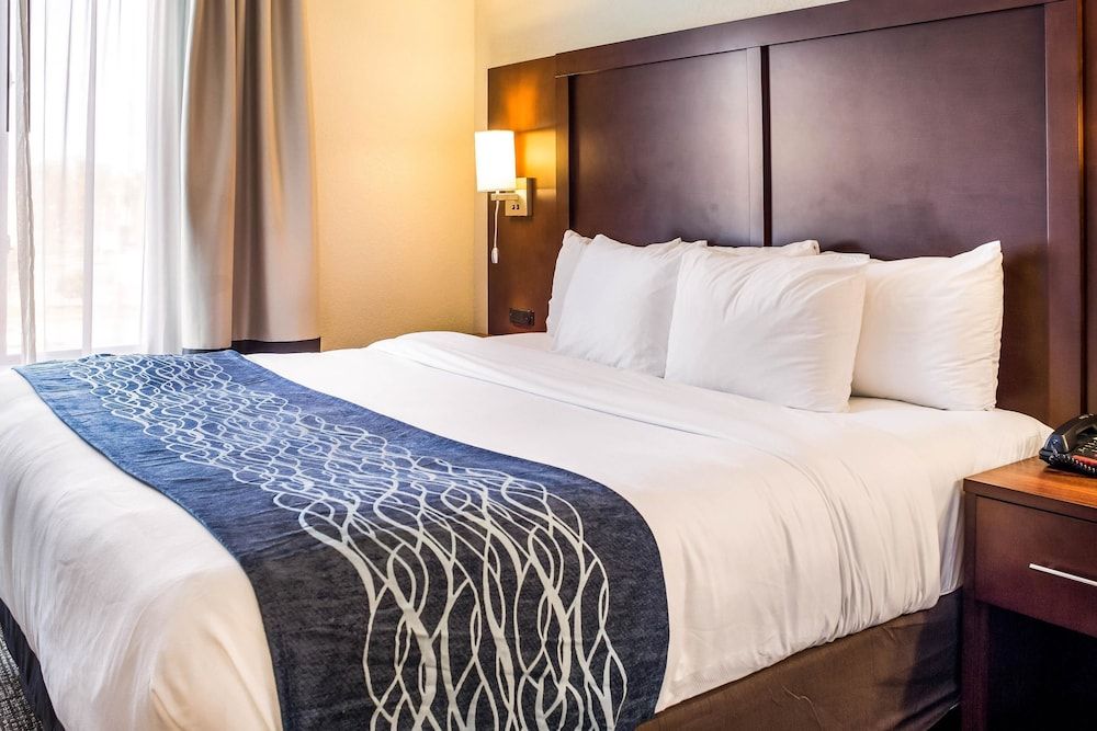 undefined Comfort Inn & Suites Niagara Falls Blvd USA 6